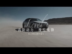 Song L EV 602km 4 roues motrices excellence 5 portes 5 sièges SUV