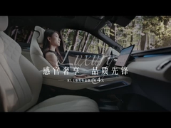 Song L EV 550km au-delà du VUS 5 portes et 5 sièges