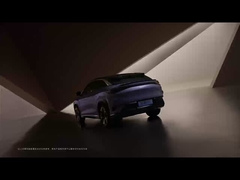 Sea Lion 07 EV 2024 550 à quatre roues motrices Smart air version 5 portes 5 sièges SUV