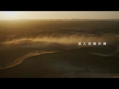 Léopard 5 dans le sable