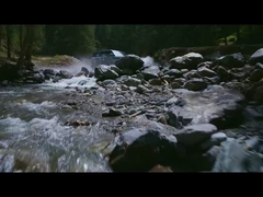 Léopard 5 dans l'eau