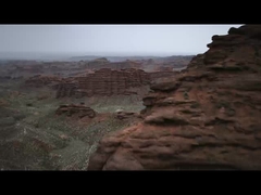 Leopard 5 sur la montagne